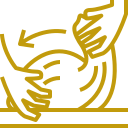 Ikonica